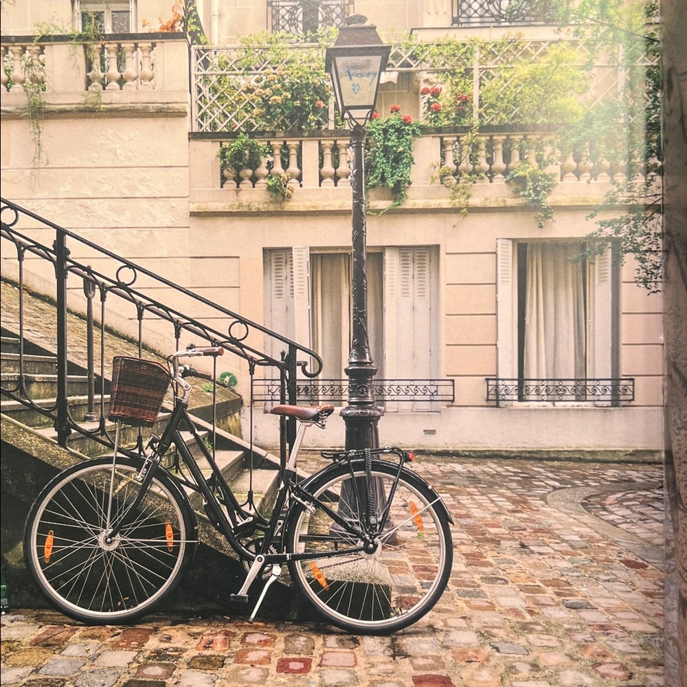 NEW! At the Table in Paris: Recipes from the Best Cafés and Bistros, by Jan T.V. - Picture 8 of 11